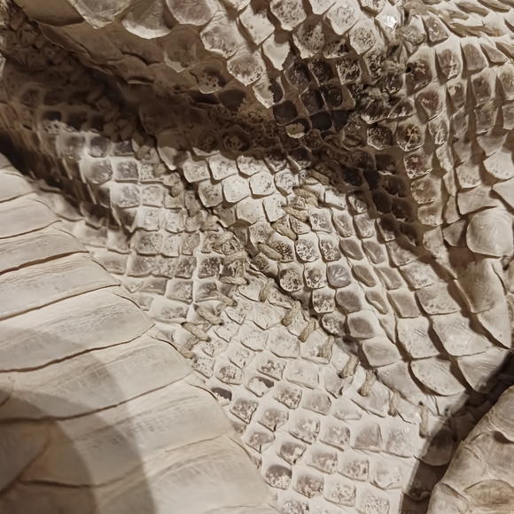 Snakeskin moccasins handmade - Picture 9 of 9